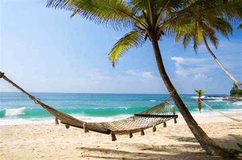 Taking it easy An empty hammock slung between palm trees on a tropical beach